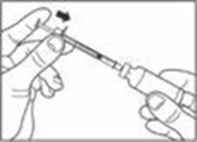 Image Of How To Draw Step 6 (Image 6b)